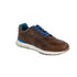 Tenis Cuero - UOMO - Castaño y Azul | Sneakers